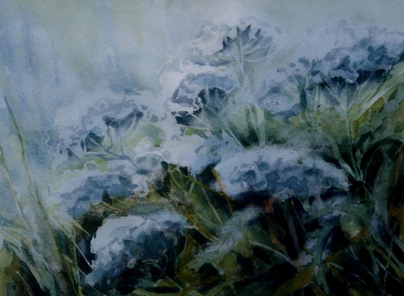 Plik:B. Kowalewska 13.jpg