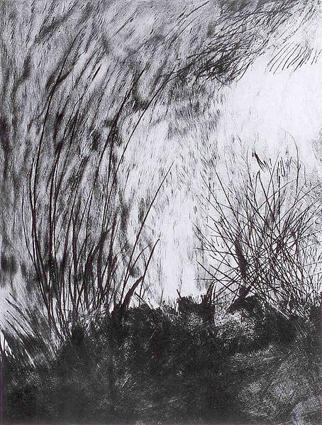 Plik:Gudaczewski tomasz.jpg