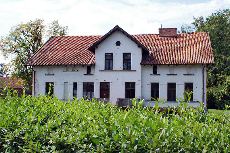 Plik:Dwor tejstymy 1a.jpg