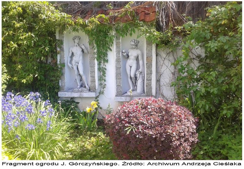 Plik:Ogrodgorczynski.jpg
