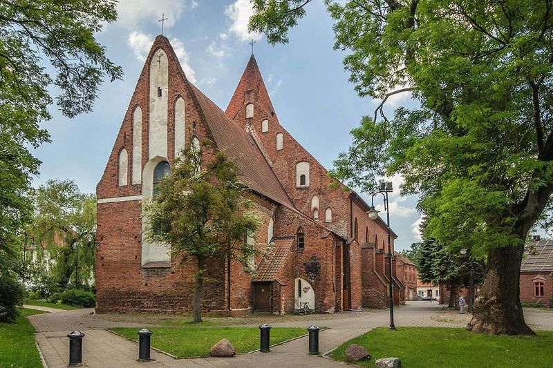 Plik:Kosc paslek.jpg