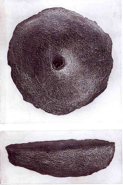 Plik:Kulagowska praca.jpg