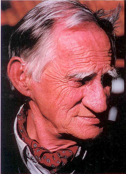 Plik:Szubski adam portret.jpg