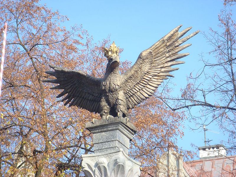 Plik:Orzel1.jpg