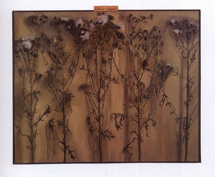 Plik:Cenian joanna2.jpg