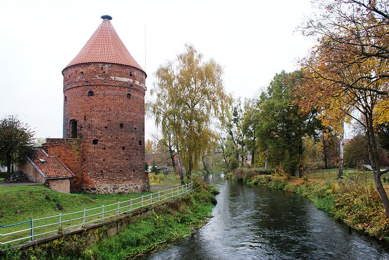 Plik:Baszta bociania dobremiasto 2a.jpg