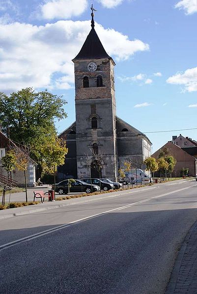 Plik:Wielbark kosc.jpg